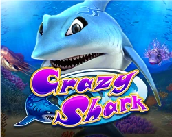crazy shark